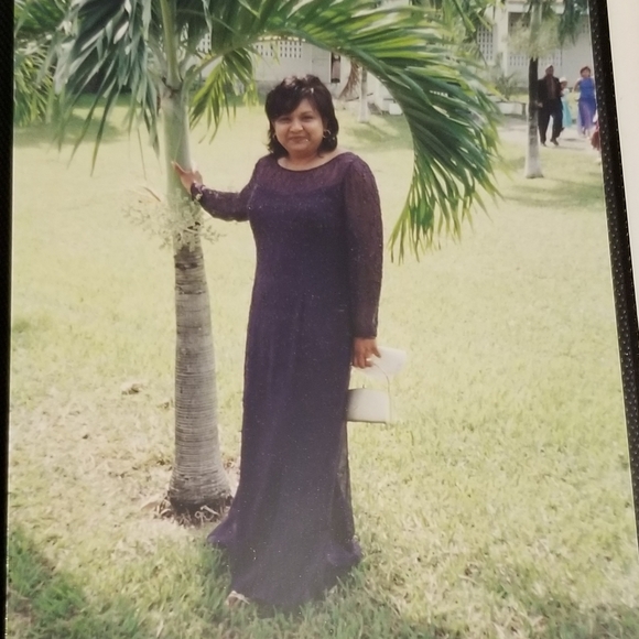 ELEGANT DRESS - Picture 3 of 7